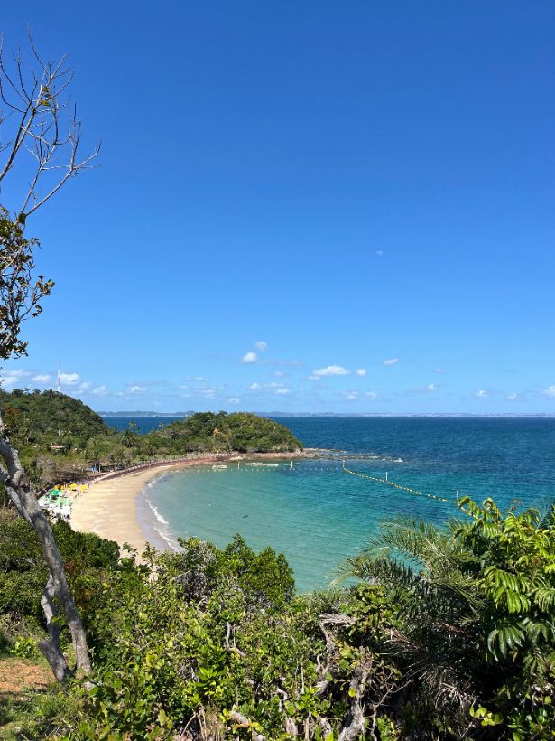 Praia da Ilha dos Frades vista do alto